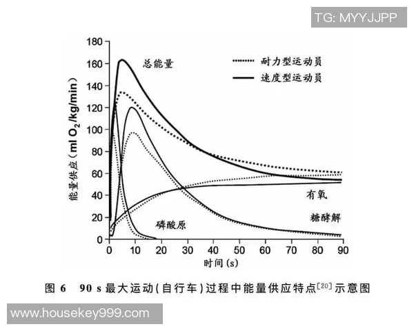 运动科技产品在提升运动表现与健康管理中的创新应用探讨